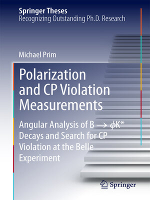 cover image of Polarization and CP Violation Measurements
